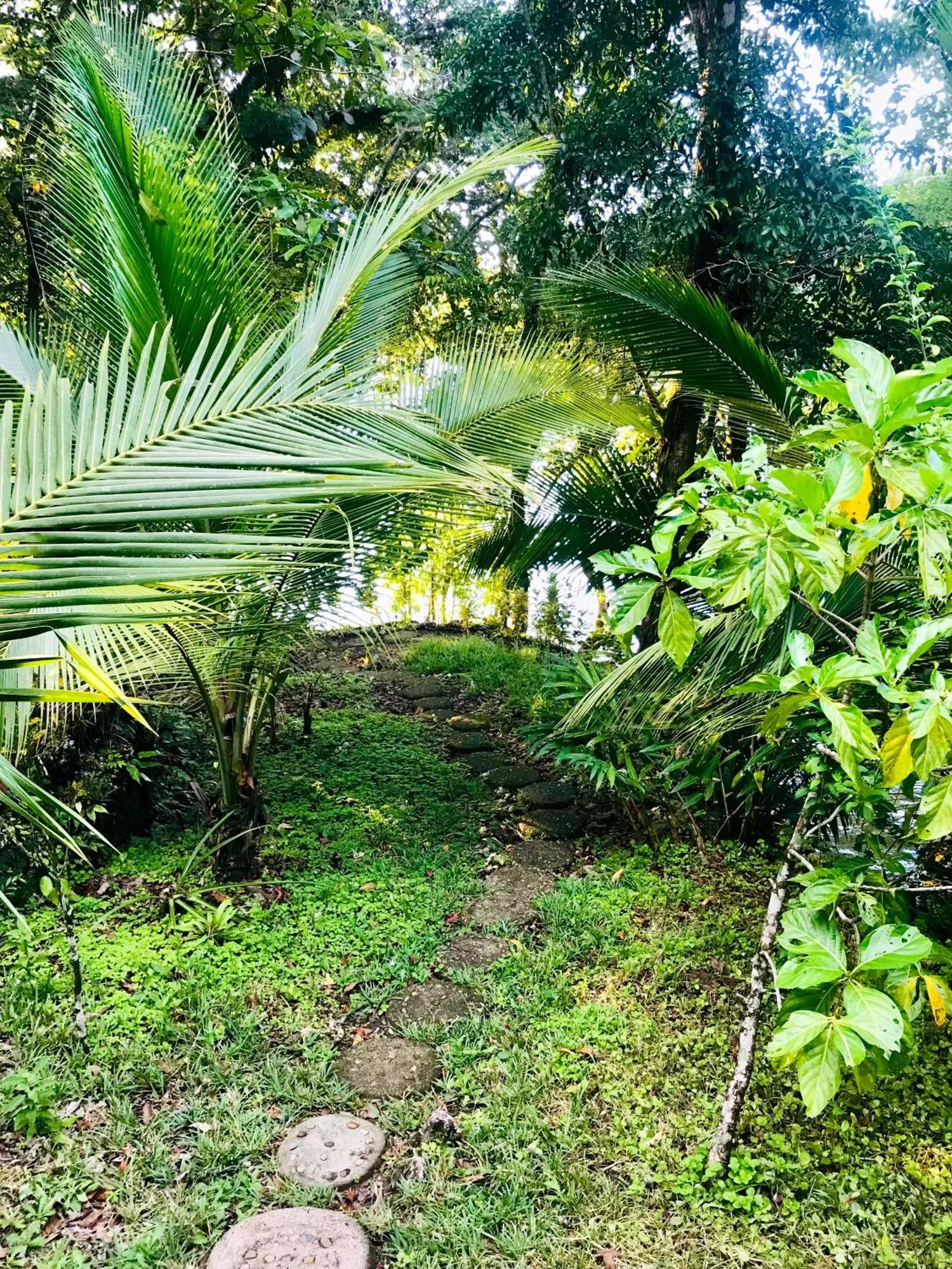 Palmeras Del Rio Hotel La Vina Exterior photo