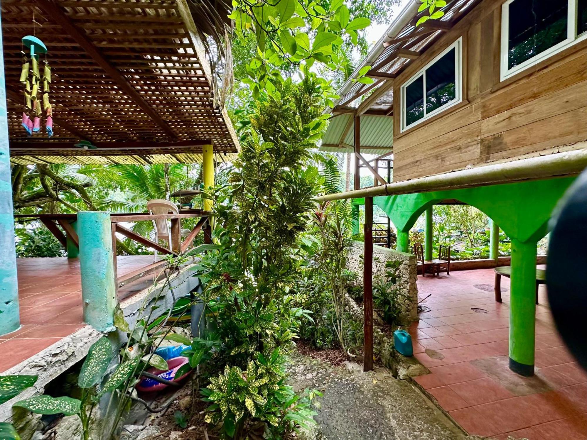 Palmeras Del Rio Hotel La Vina Exterior photo